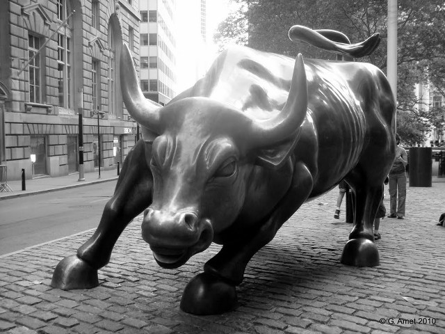 Bull statue city square blackwhite free wallpaper for desktop - medium preview image