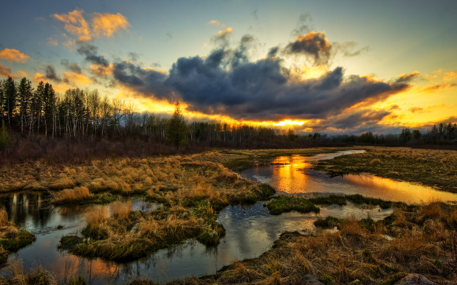 Sunset marsh stream trees background free wallpaper for desktop - medium preview image