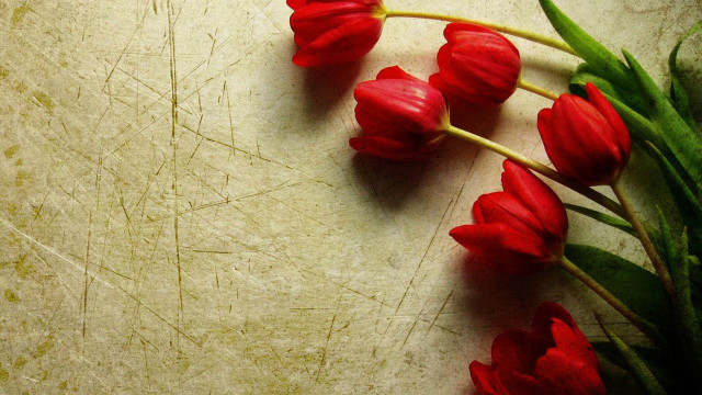 Red flowers white surface gothic free wallpaper for desktop - medium preview image