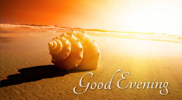 Shell beach sunshine evening message free wallpaper for desktop - medium preview image