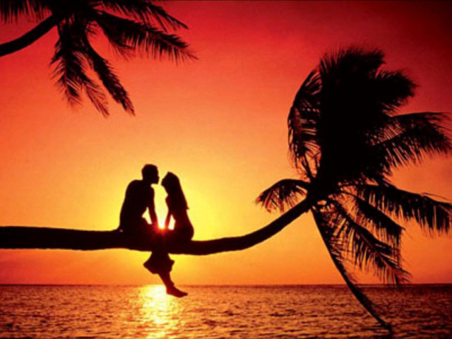 Couple palm tree ocean sunset free wallpaper for desktop - medium preview image