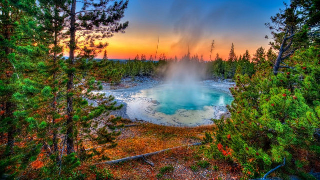 Geyser forest sunset colorful sky free wallpaper for desktop - medium preview image