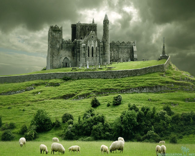 Castle sheep grazing field cloudy free wallpaper for desktop - medium preview image