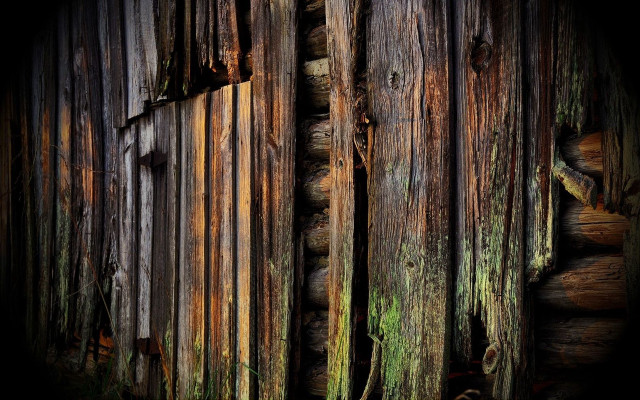 Wooden wall moss black background free wallpaper for desktop - medium preview image