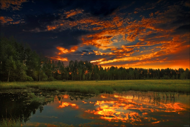 Sunset lake trees background clouds free wallpaper for desktop - medium preview image