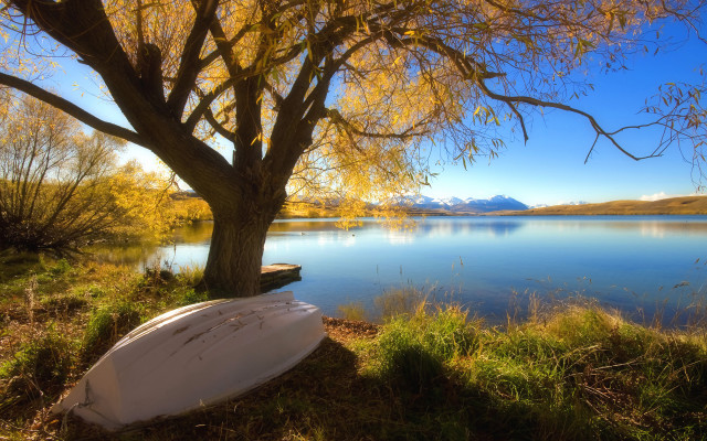 White boat lake yellow leaves free wallpaper for desktop - medium preview image
