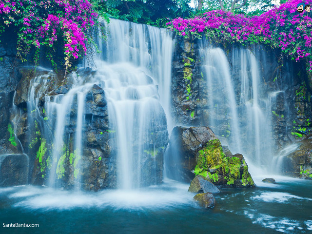 Waterfall purple flowers rock water #4 free wallpaper for desktop - medium preview image