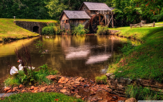 Pond house swans bridge waterwheel free wallpaper for desktop - medium preview image