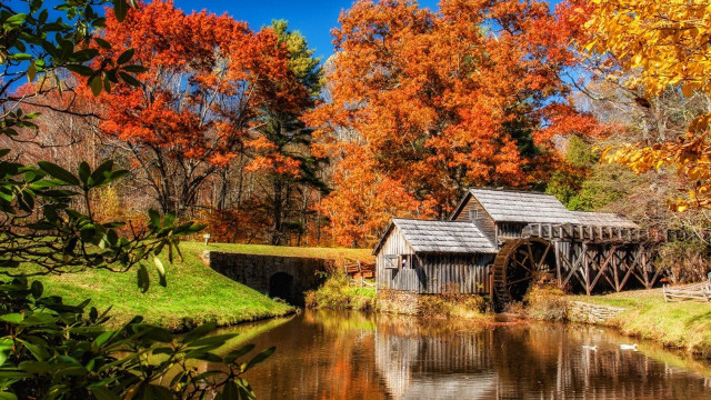 Small wooden building river woods free wallpaper for desktop - medium preview image