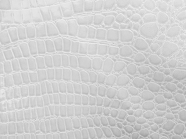 White crocodile skin texture circles free wallpaper for desktop - medium preview image
