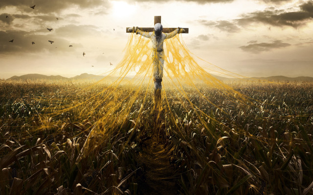 Cross field sky birds flying free wallpaper for desktop - medium preview image