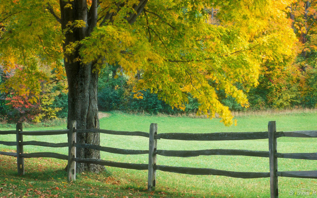 Wooden fence autumn leaves bench free wallpaper for desktop - medium preview image