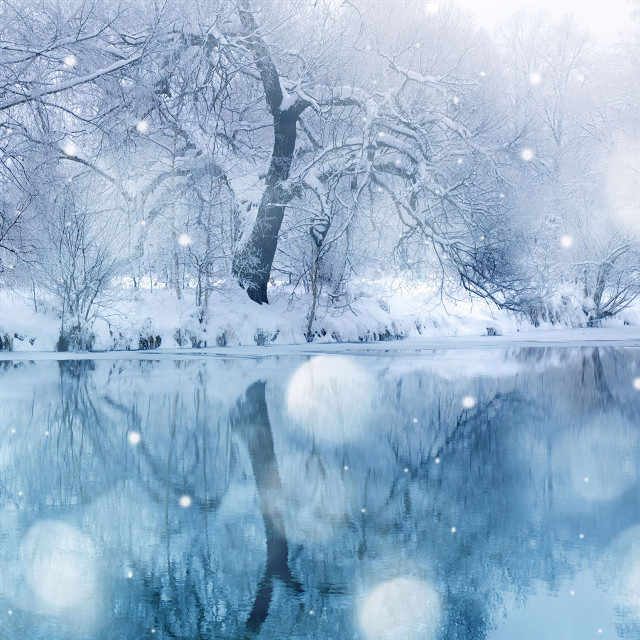 Snowy lake trees winter moonlight free wallpaper for tablet - medium preview image