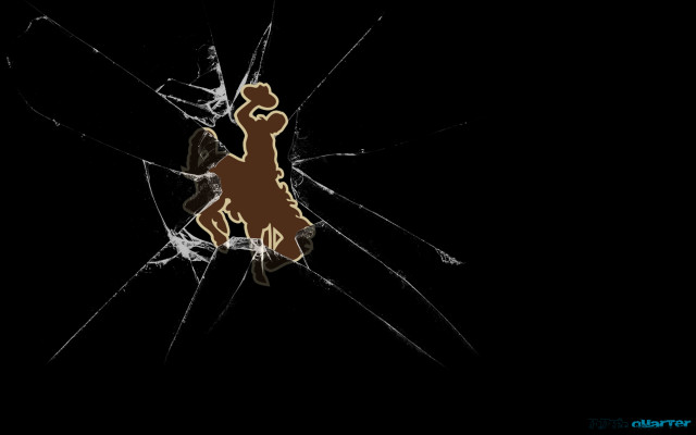 Broken glass brown dog black free wallpaper for desktop - medium preview image