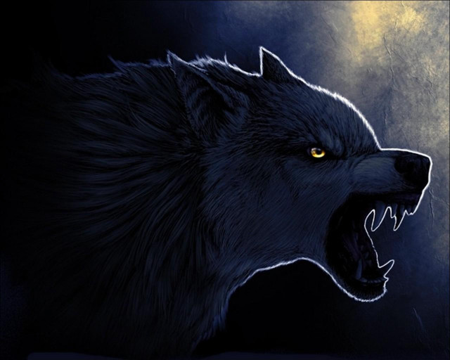 Wolf yellow eyes black background free wallpaper for desktop - medium preview image