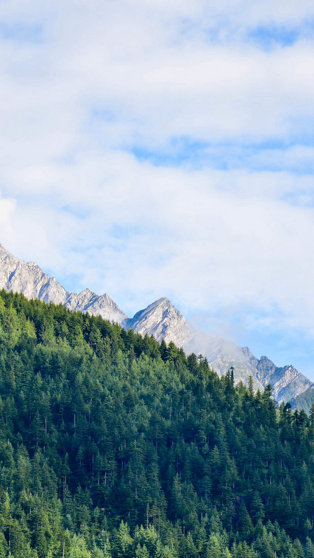 Mountain forest sky clouds trees #2 free wallpaper for mobile - medium preview image