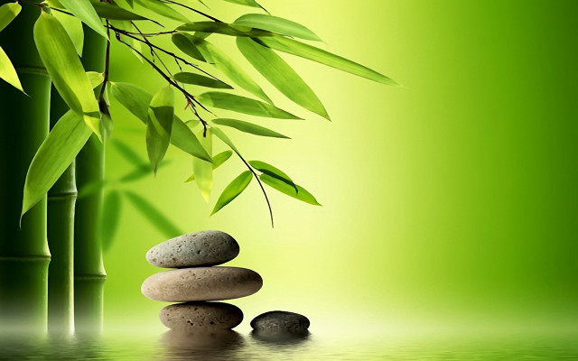 Bamboo tree rocks leaves green #2 free wallpaper for desktop - medium preview image