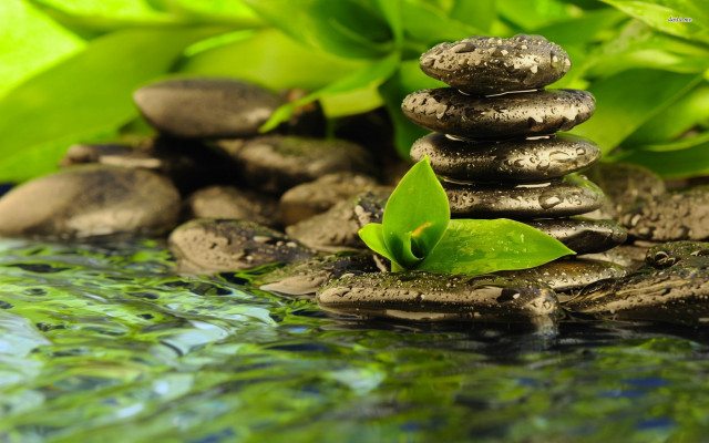 Rock pile pond green plant free wallpaper for desktop - medium preview image