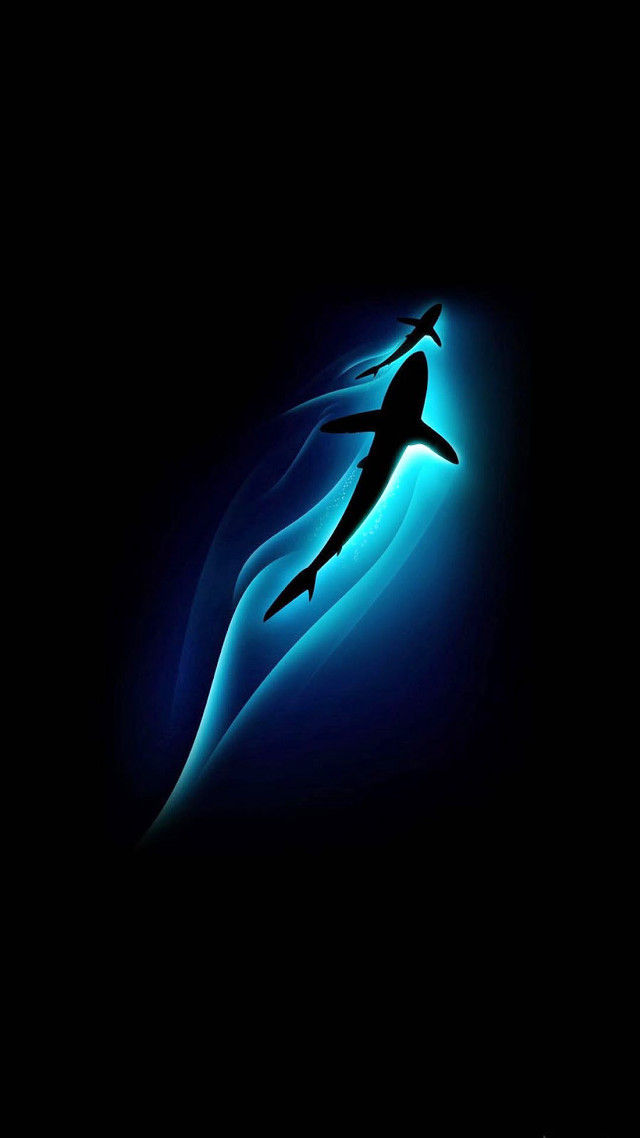 Person swimming ocean shark nighttime free wallpaper for mobile - medium preview image