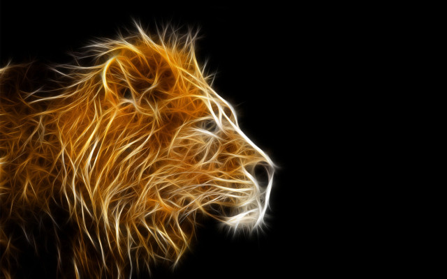 Lion yellow light dark magic free wallpaper for desktop - medium preview image