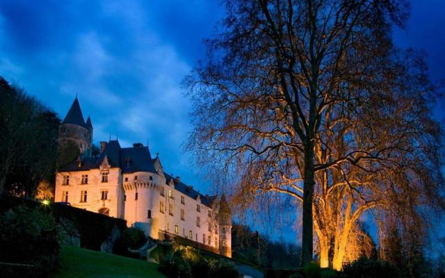 Castle lit night tree dark free wallpaper for desktop - medium preview image