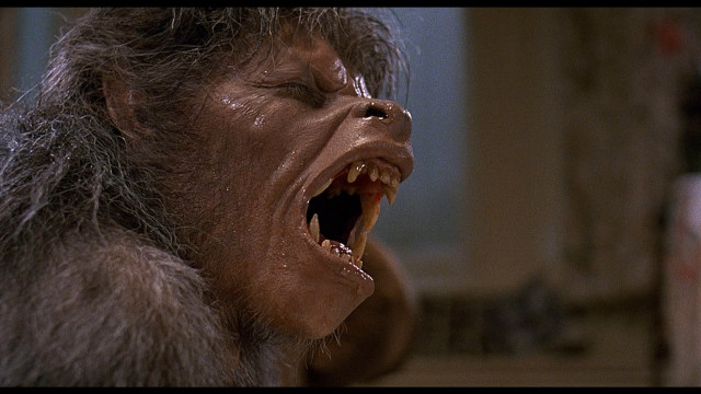 Monkey open mouth sharp teeth free wallpaper for desktop - medium preview image
