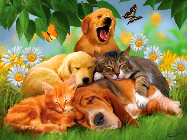Dog cats grass laying painting free wallpaper for desktop - medium preview image