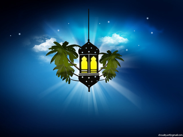 Lantern palm tree blue background free wallpaper for desktop - medium preview image