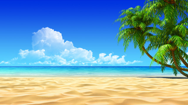 Palm tree sandy beach blue #7 free wallpaper for desktop - medium preview image