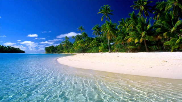 Beach palm trees clear water #20 free wallpaper for desktop - medium preview image