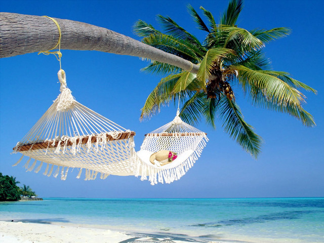Hammock palm tree beach blue #3 free wallpaper for desktop - medium preview image