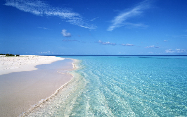 Beach clear blue water sandy free wallpaper for desktop - medium preview image