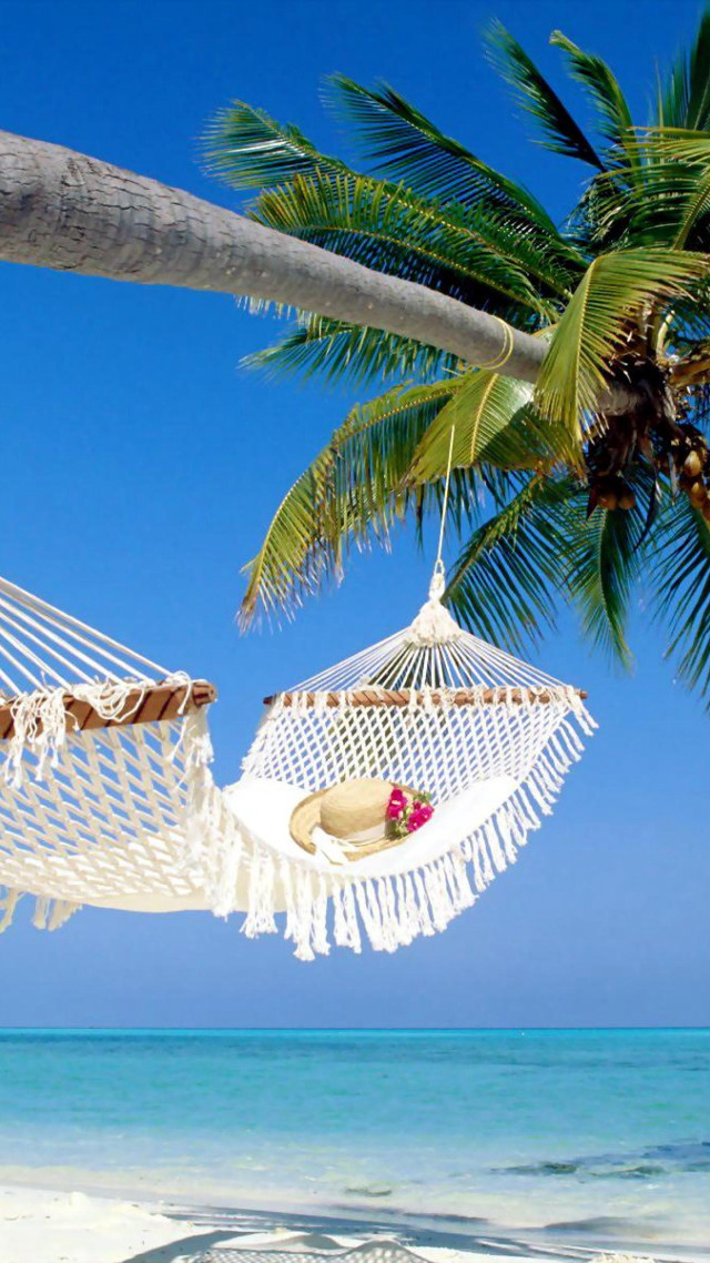 Hammock palm tree beach blue #4 free wallpaper for mobile - medium preview image