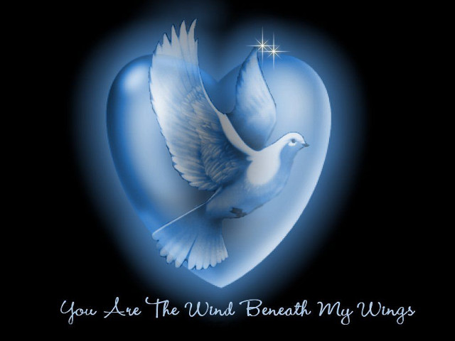 Blue heart dove star message free wallpaper for desktop - medium preview image