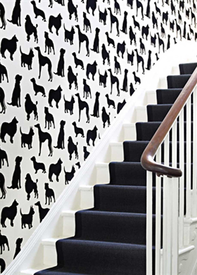 Staircase dogs wallpaper dog silhouette free wallpaper for mobile - medium preview image