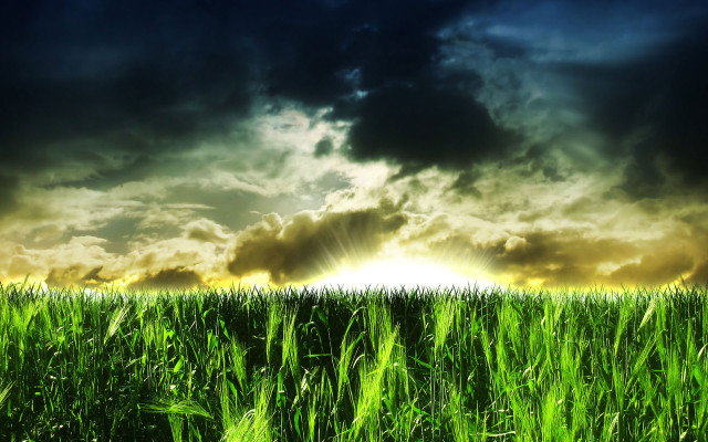 Field grass sun clouds dark free wallpaper for desktop - medium preview image