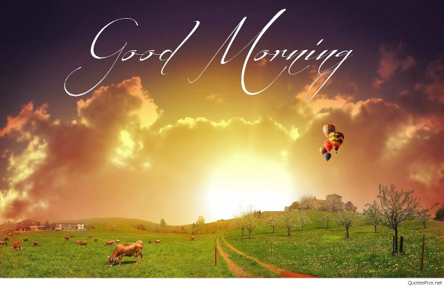 Sunset hotairballoon cow grazing urban free wallpaper for desktop - medium preview image