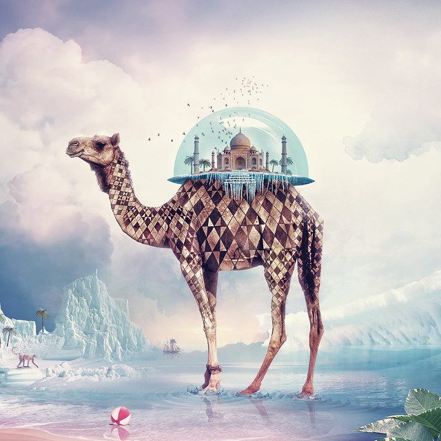 Camel dome water building pink free wallpaper for tablet - medium preview image