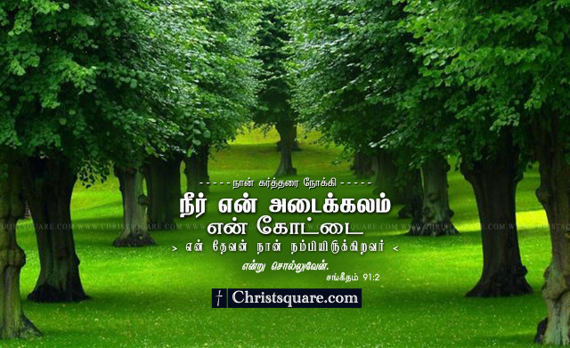 Green field trees quote language free wallpaper for desktop - medium preview image