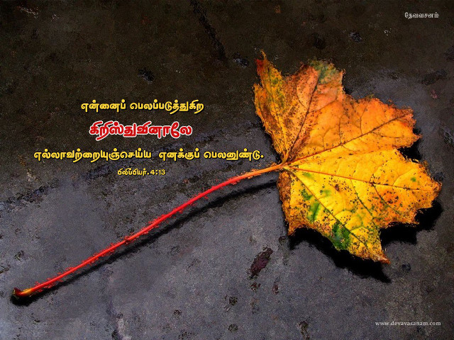 Leaf quote pavement black background free wallpaper for desktop - medium preview image