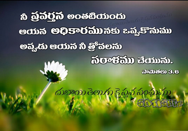 Flower in grass quote language free wallpaper for desktop - medium preview image