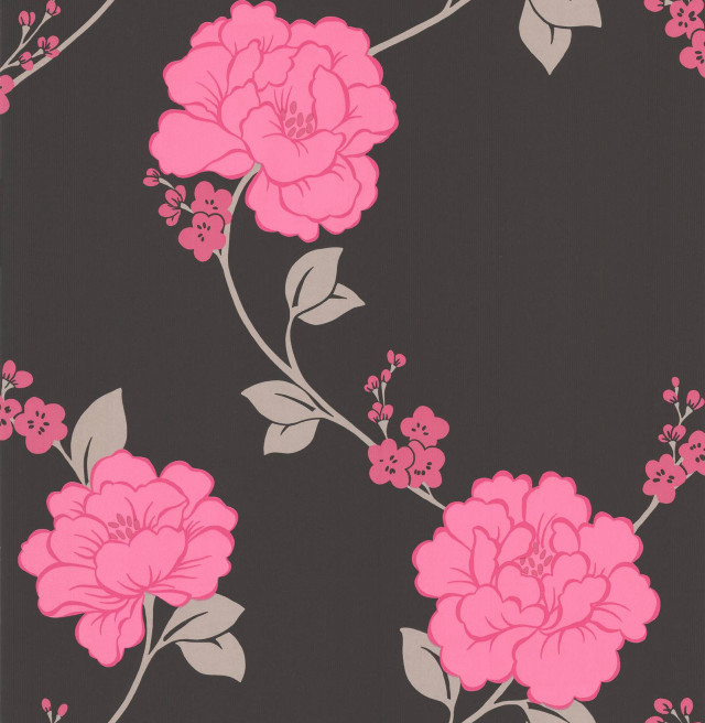 Pink flower black background stem free wallpaper for tablet - medium preview image