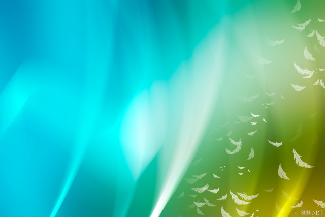Colorful birds flying sky green free wallpaper for desktop - medium preview image
