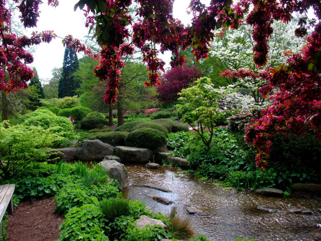 Small stream lush park trees free wallpaper for desktop - medium preview image