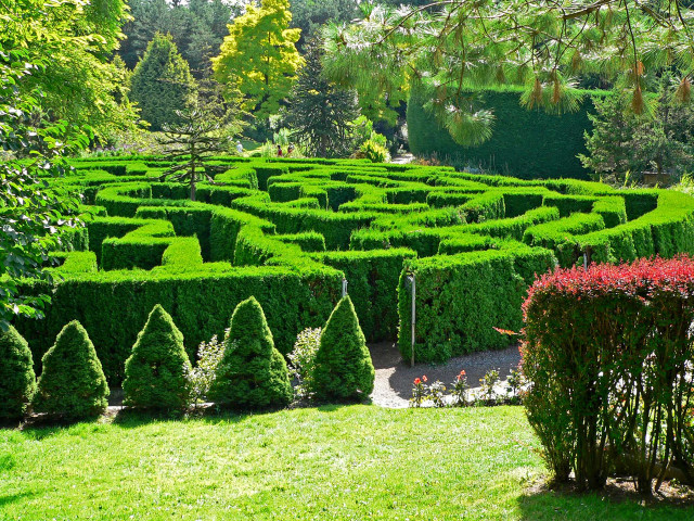 Large green garden maze lawn free wallpaper for desktop - medium preview image