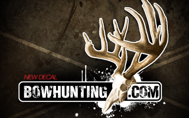 Deer skull bowhunting sticker focal free wallpaper for desktop - medium preview image