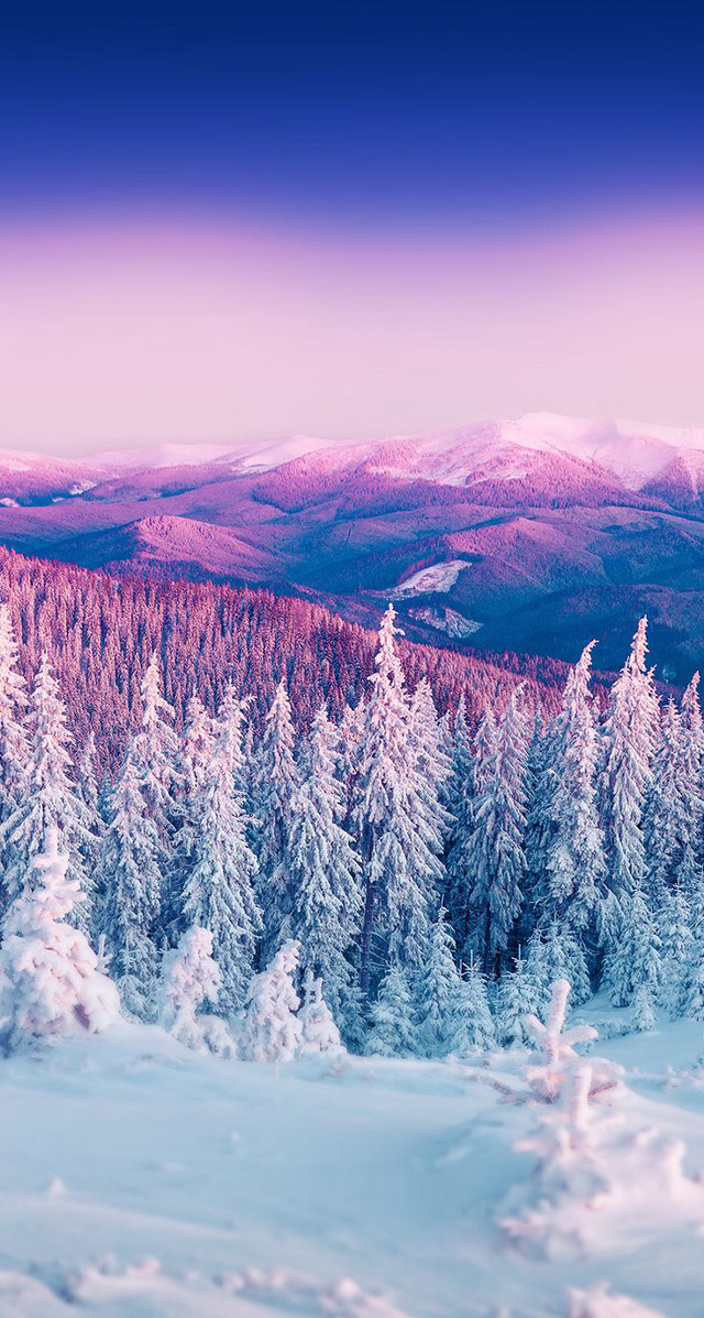 Snowy mountains pink sky trees free wallpaper for mobile - medium preview image
