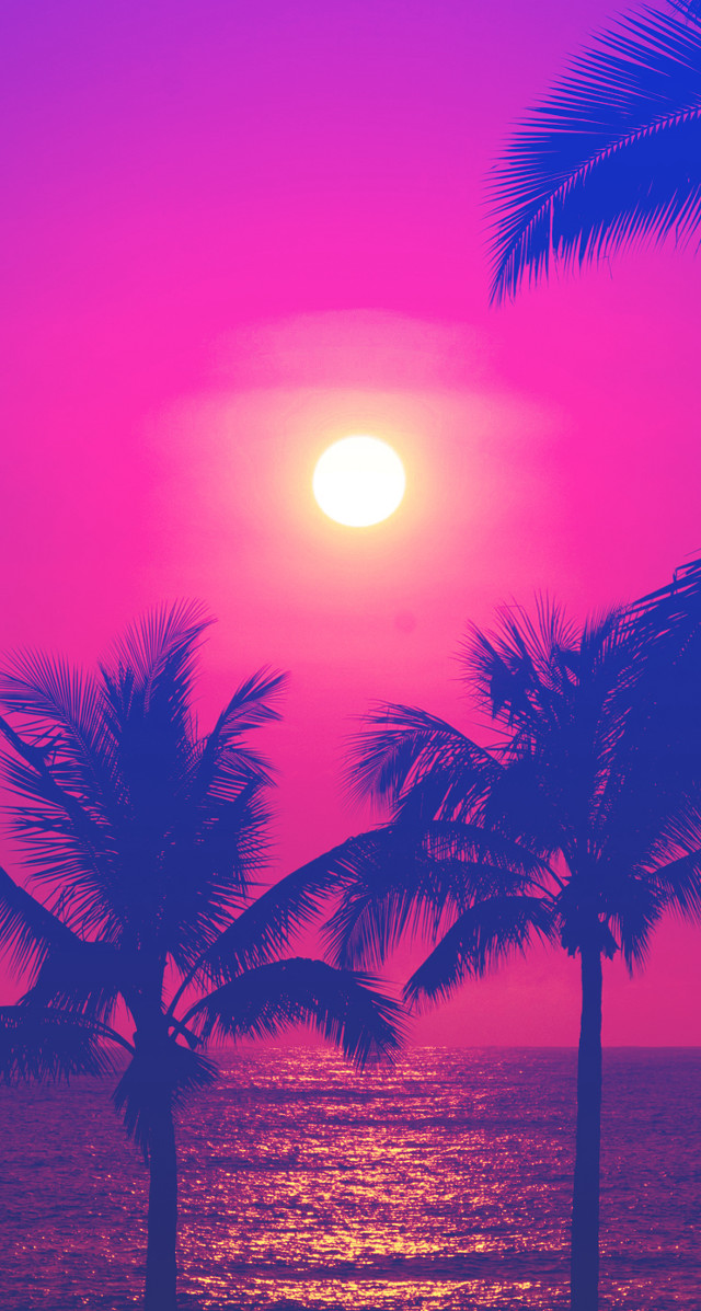 Sunset palm trees ocean pink free wallpaper for mobile - medium preview image