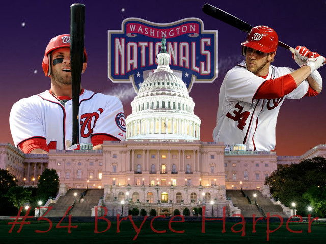 Baseball player capitol building washington free wallpaper for desktop - medium preview image