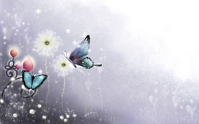 Butterflies flying flowers branch eggs free wallpaper for desktop - medium preview image